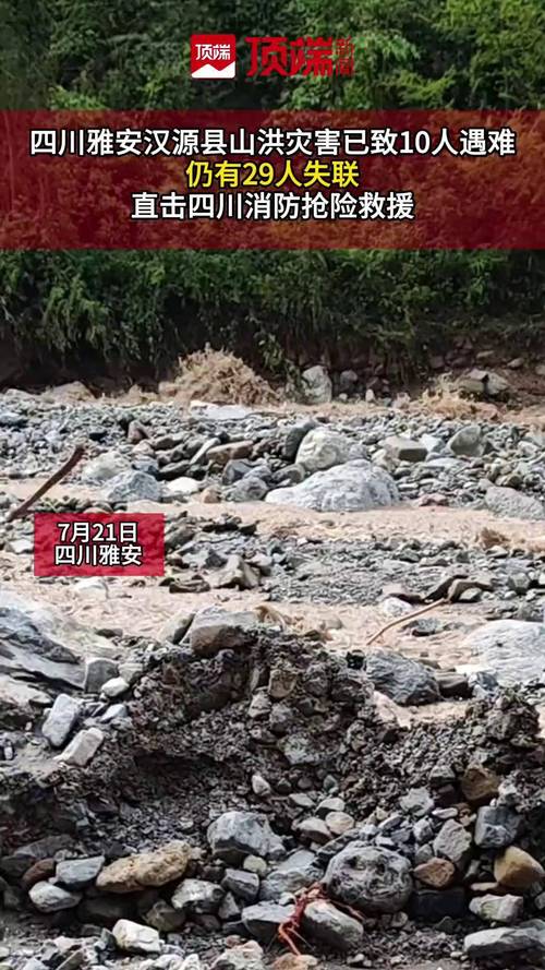 下载中心 第19页